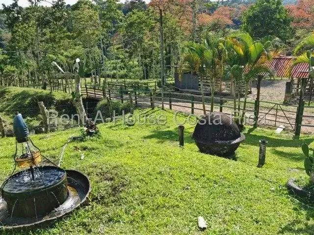 MLS-26-1444 Land of 644,346m² for Sale in Murcia, Turrialba - Image 4