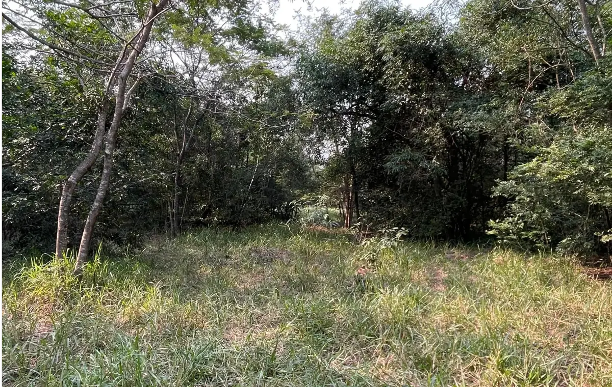 Vendo 5 hectáreas en Arroyos y Esteros 🤩 📍Zona San Antonio - Image 6