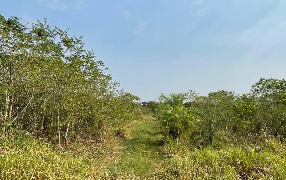 Vendo 5 hectáreas en Arroyos y Esteros 🤩 📍Zona San Antonio