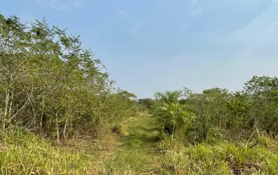 Vendo 5 hectáreas en Arroyos y Esteros 🤩 📍Zona San Antonio