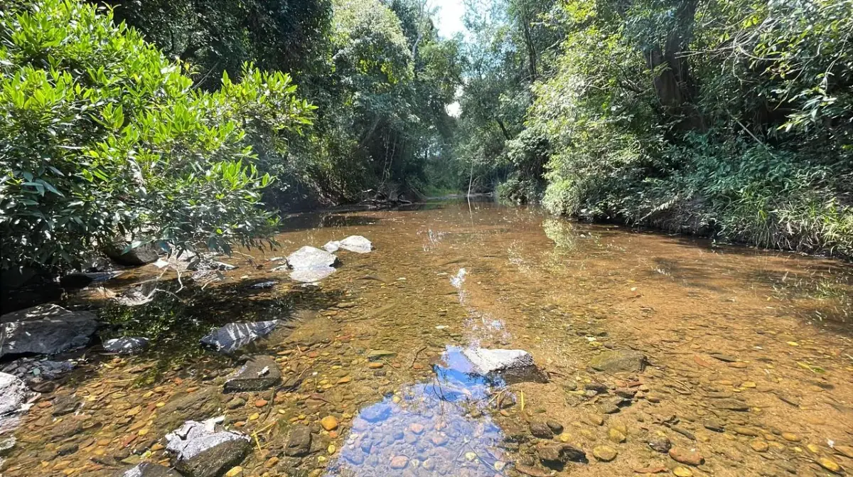 17,7 ha 44-acre farm with two streams & pond | 2 arroyos en Sapucai