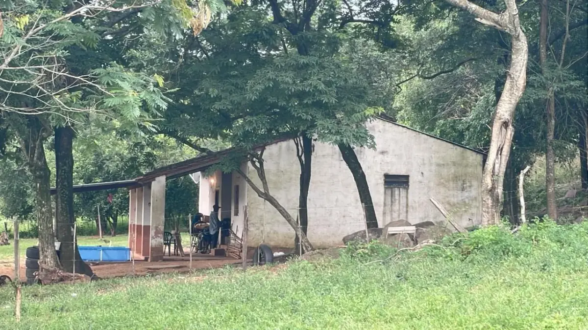 Vendo 88 hectáreas en Ybycui con casa y 21 hectáreas de eucalipto - Image 3