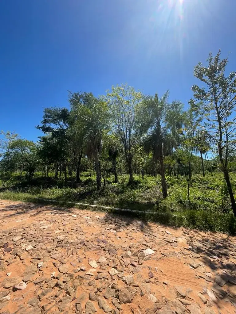 Vendo hermoso terreno arbolado en San Bernardino  Zona Anfiteatro - Image 2