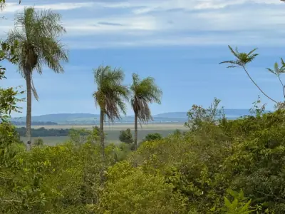 6 Hectareas en Carapeguá – Ideal Country Land (Crypto & USDT Accepted)