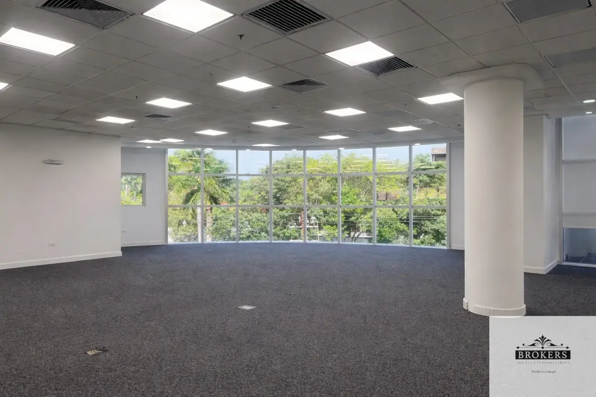 Espaço Comercial de 798m² para Aluguel em Mariscal Lopez, Assunção - Image 2