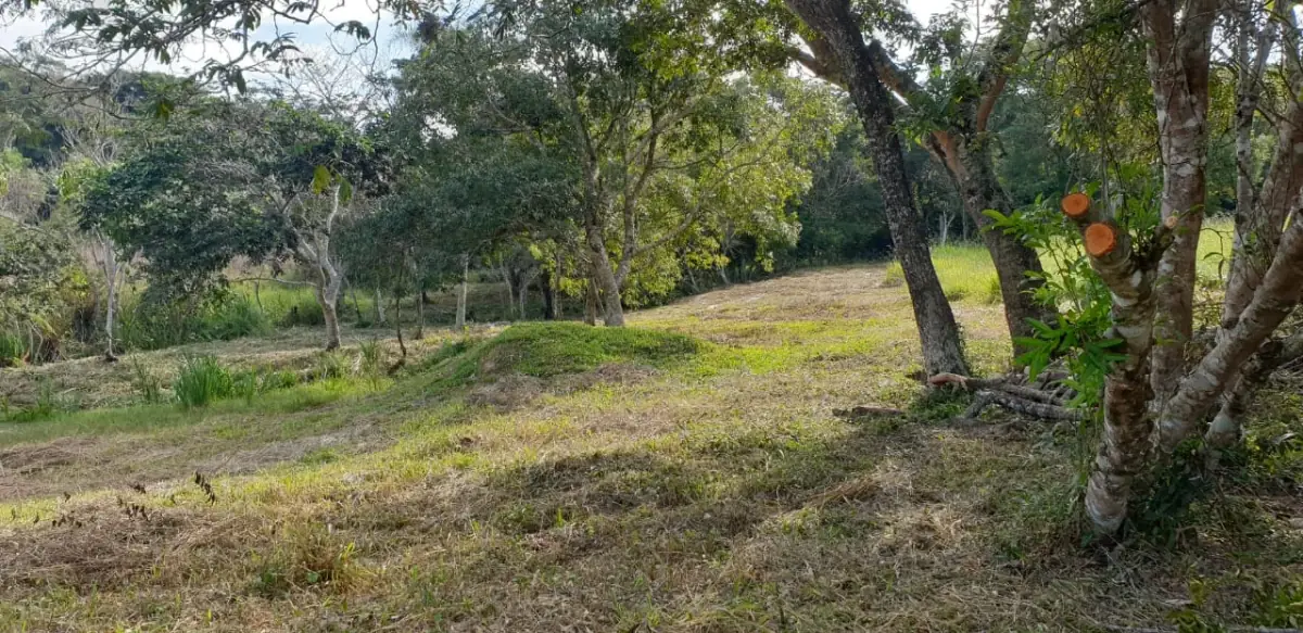 Vendo 12 hectáreas en Piribebuy con cerro y naciente - Image 11