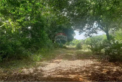 Terreno de 388.8m² en Venta en San Bernardino