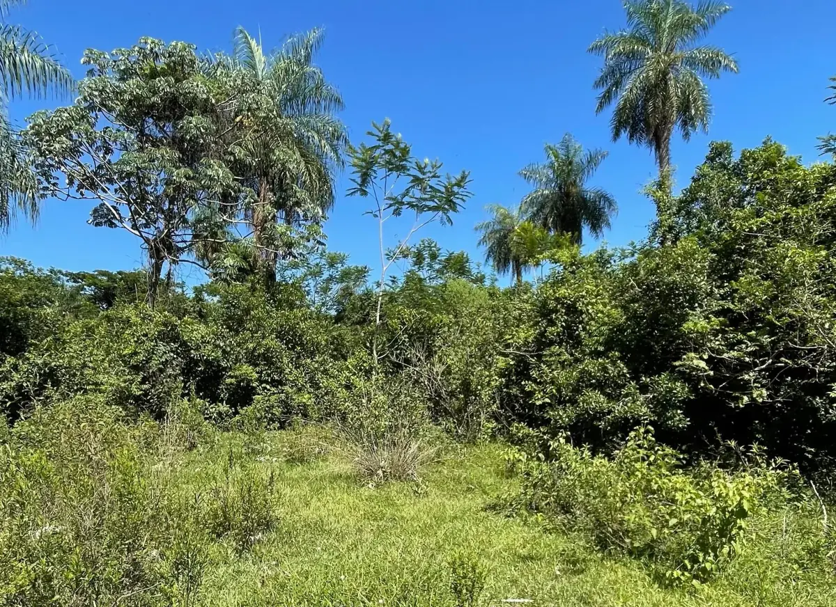 VENDO 9 HECTAREAS EN ATYRA 🍃🌳  📍A 4 km del casco urbano - Image 8