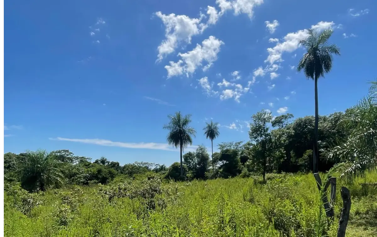 VENDO 9 HECTAREAS EN ATYRA 🍃🌳  📍A 4 km del casco urbano - Image 3