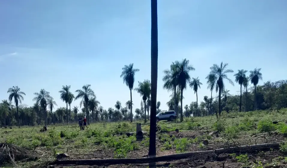 Vendo propiedad de 2 hectáreas en Atyra Ideal para granja