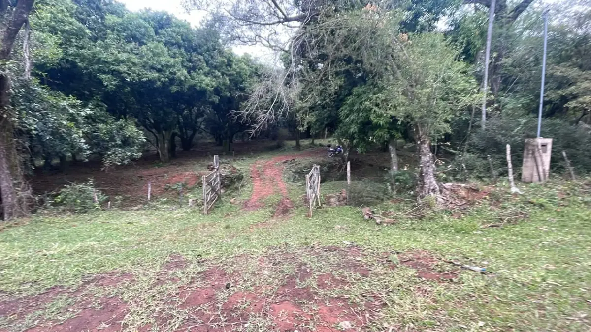 Campo 35 ha con arroyo y mirador en Caballero | 86-acre estate - Image 10