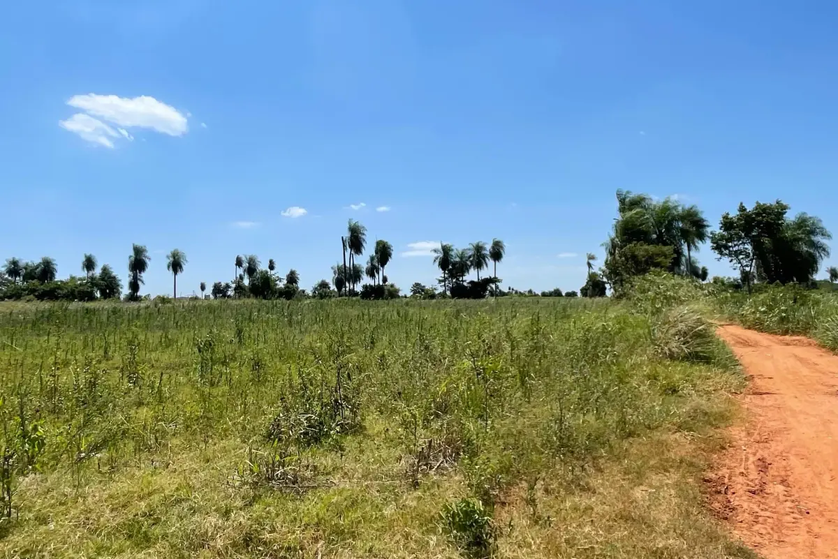 Vendo propiedad de 5,25 hectáreas en Arroyos y Esteros - Image 2