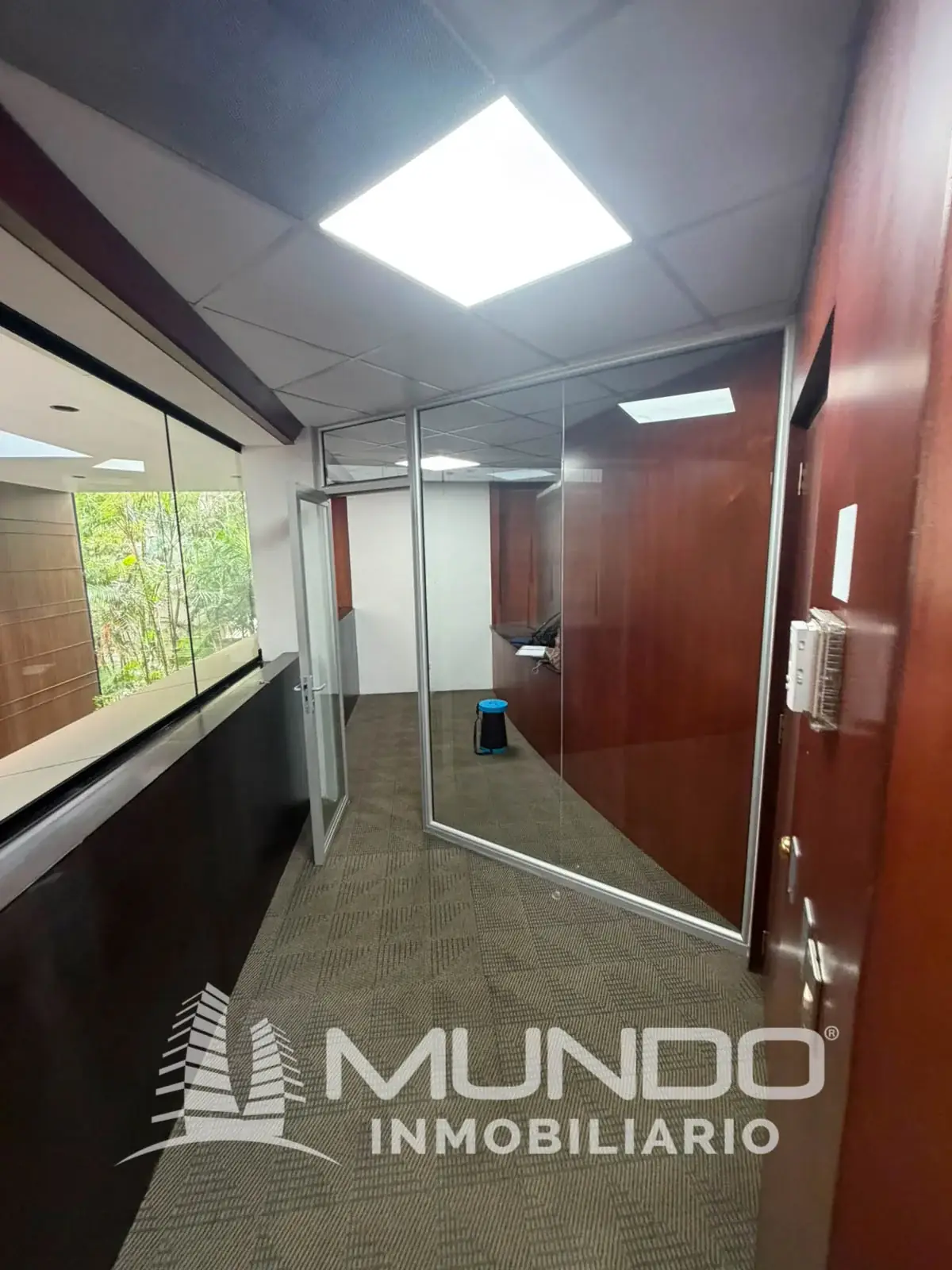 Local Comercial de 166,24m² en Alquiler en Zona 10, Ciudad de Guatemala - Image 6