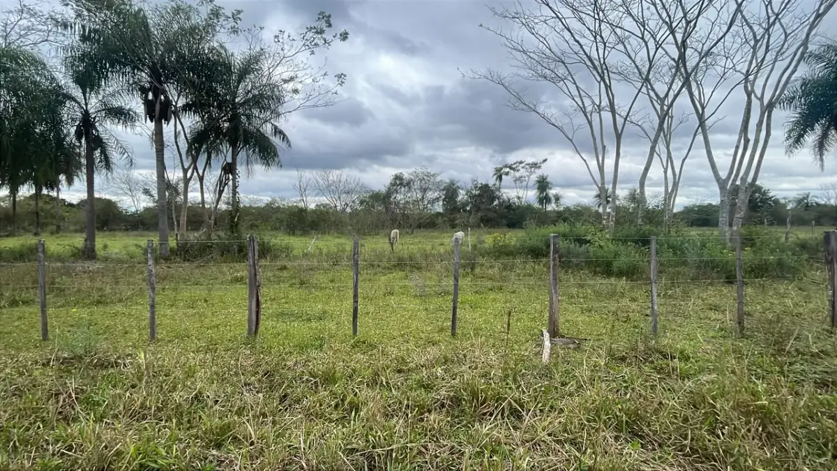 6.5-Hectare 16-acre Farm / Land for Sale in Ybycuí
