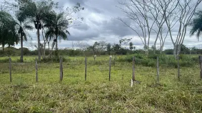 6.5-Hectare 16-acre Farm / Land for Sale in Ybycuí