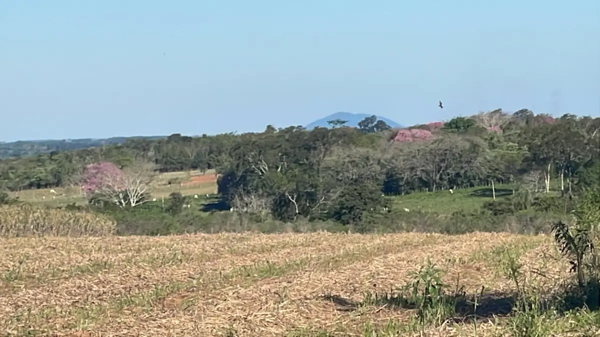 Casa y 5 ha con arroyo en San José de los Arroyos | 12-acre homestead - Image 3