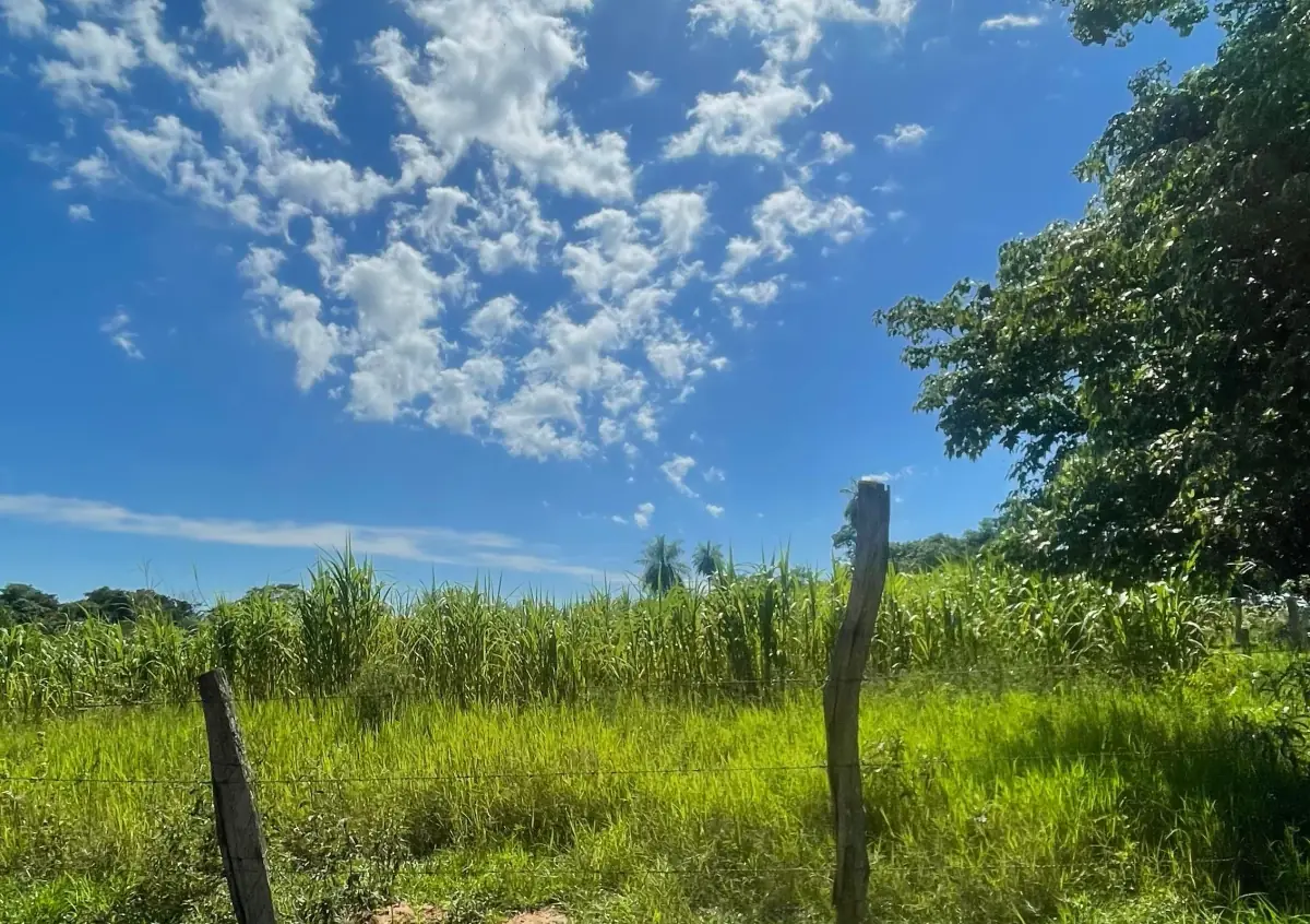 VENDO 9 HECTAREAS EN ATYRA 🍃🌳  📍A 4 km del casco urbano - Image 13