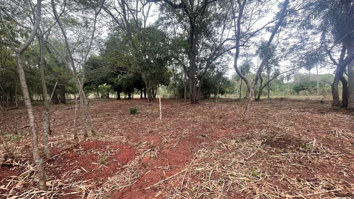 Vendo 9 hectáreas Quiindy a 2,5 km de la ruta 1 - Image 2