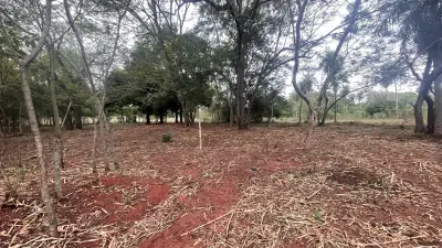 Vendo 9 hectáreas Quiindy a 2,5 km de la ruta 1