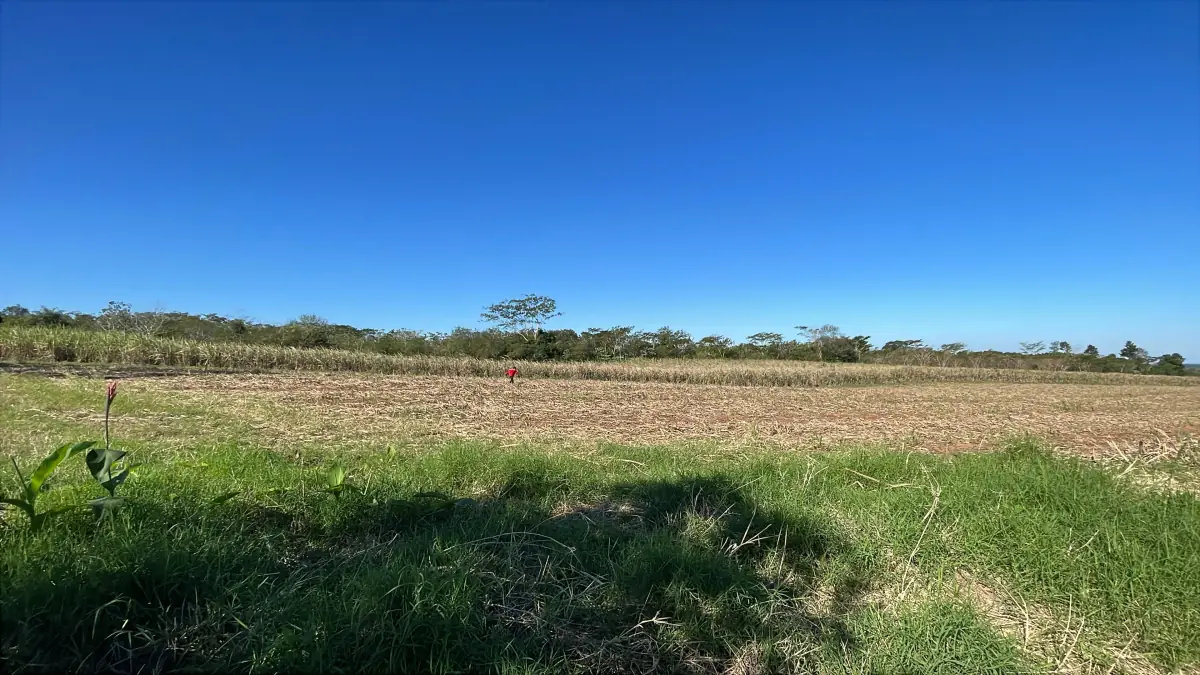Casa y 5 ha con arroyo en San José de los Arroyos | 12-acre homestead - Image 5