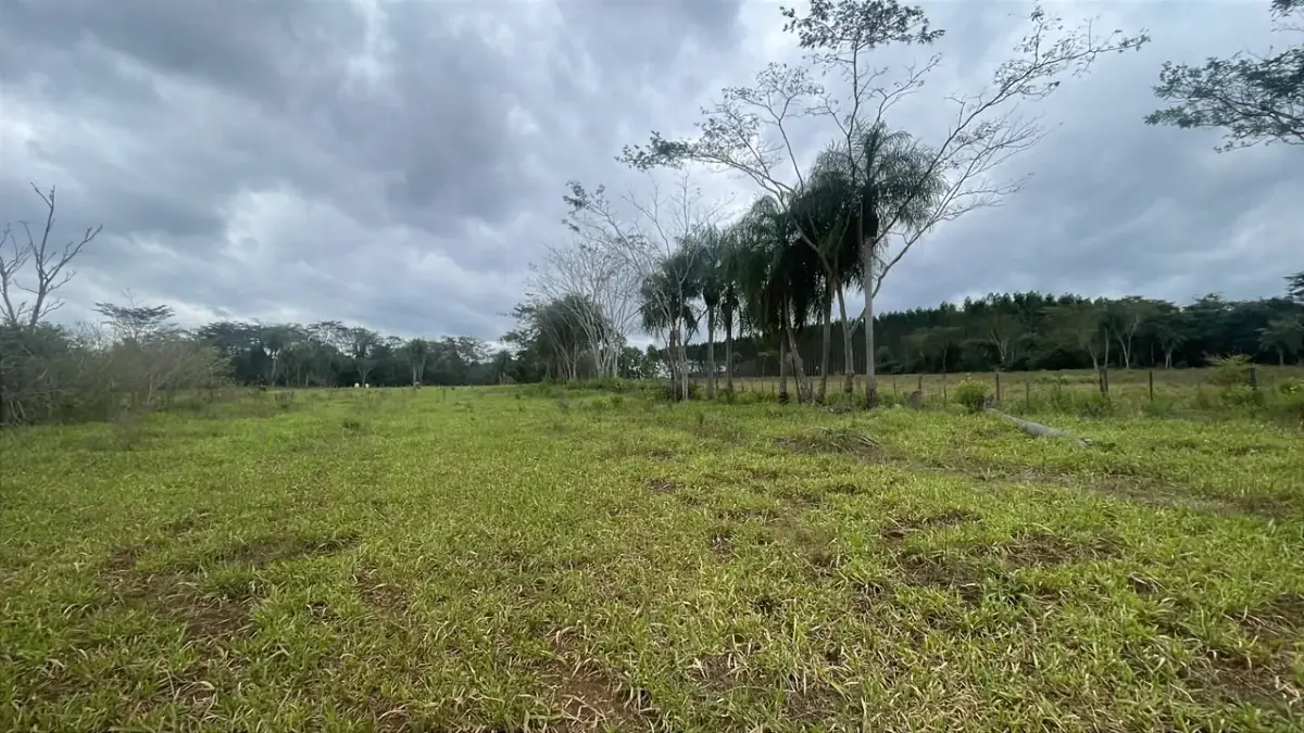 6.5-Hectare 16-acre Farm / Land for Sale in Ybycuí - Image 11