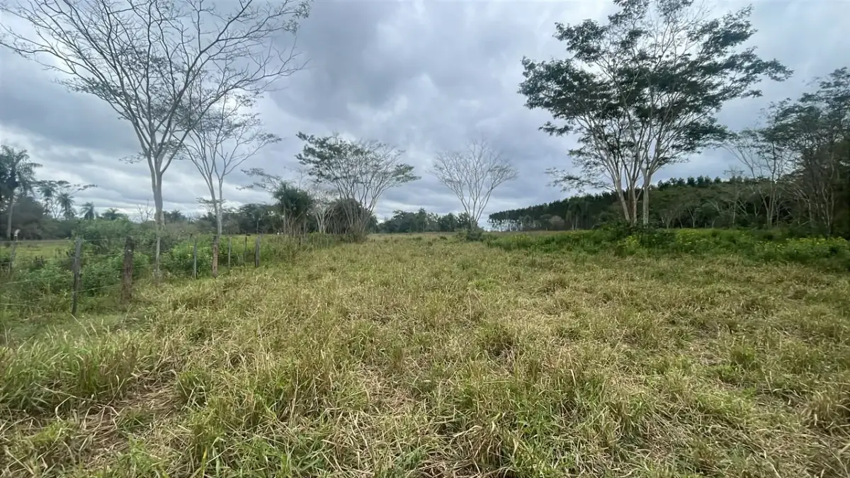 3.5ha/8.6acre Farm / Land for Sale in Ybycuí - Image 5