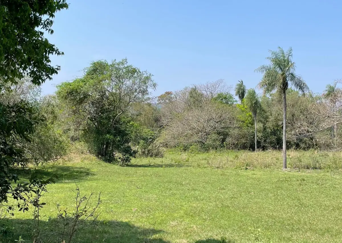 8.6 Hectares/21.2 acres Caacupé Land Agriculture & Fish Farming - Image 2