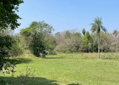 8.6 Hectares/21.2 acres Caacupé Land Agriculture & Fish Farming