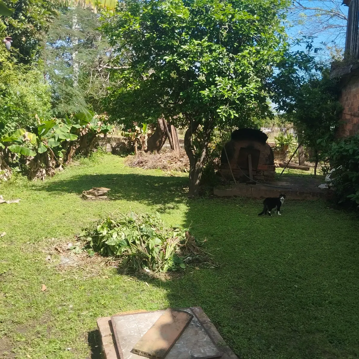 Terreno de 1.065m² en Venta en Zárate Isla, Luque - Image 10