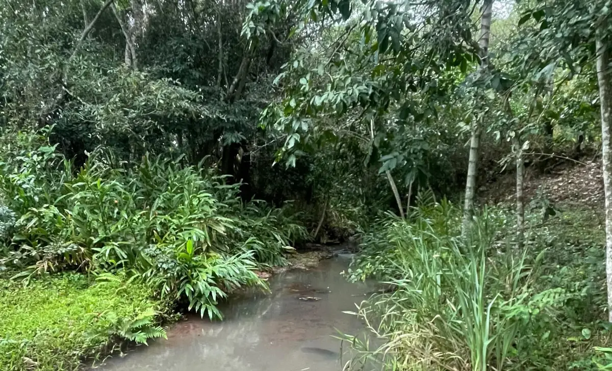 Propiedad de 7 hectáreas en Atyra 🍃🌳☀️ con cascada - Image 14