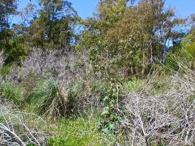 Terreno de 568m² en Venta en La Esmeralda