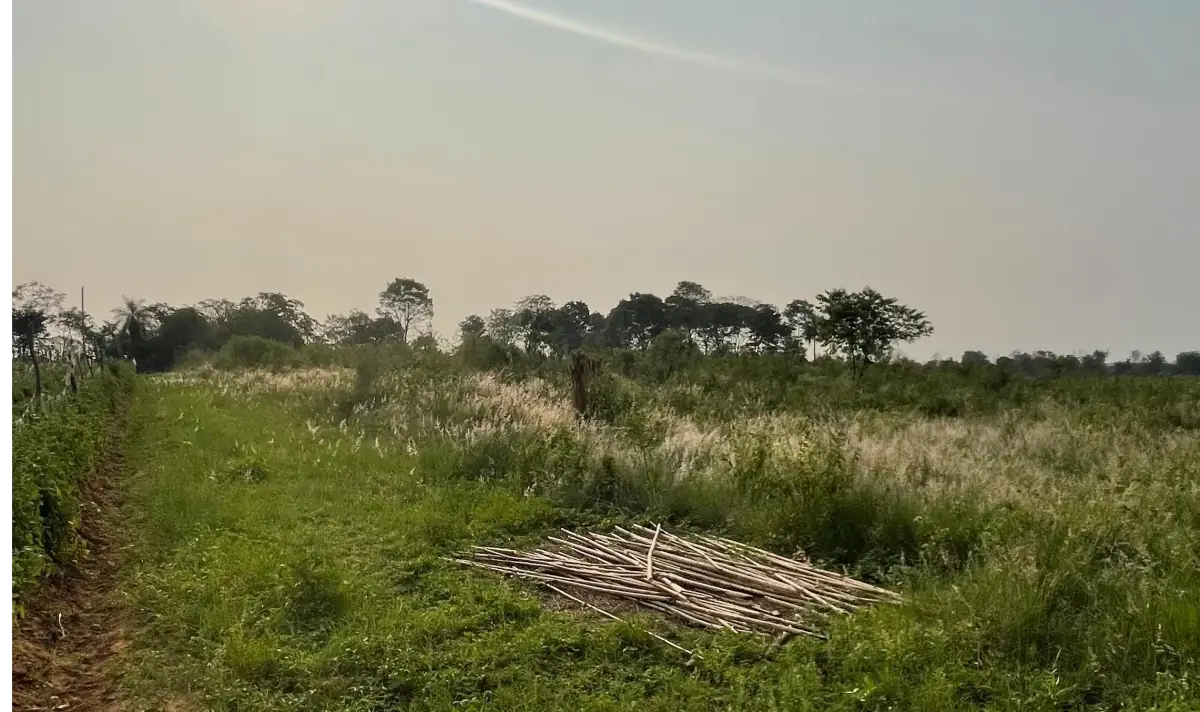 Vendo 4 hectáreas en Arroyos y Esteros 🤩 - Image 2