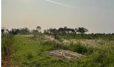 Vendo 4 hectáreas en Arroyos y Esteros 🤩