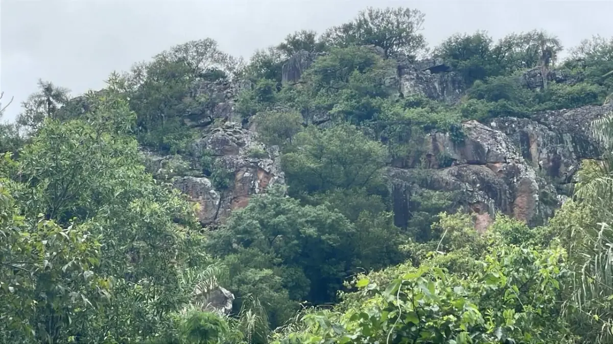 Vendo 14,6 hectáreas en Caacupé con vista al Cerro Kavaju - Image 3