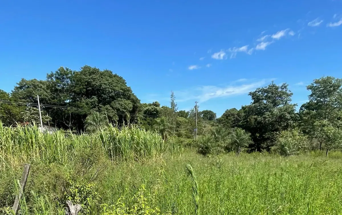 VENDO 9 HECTAREAS EN ATYRA 🍃🌳  📍A 4 km del casco urbano - Image 11