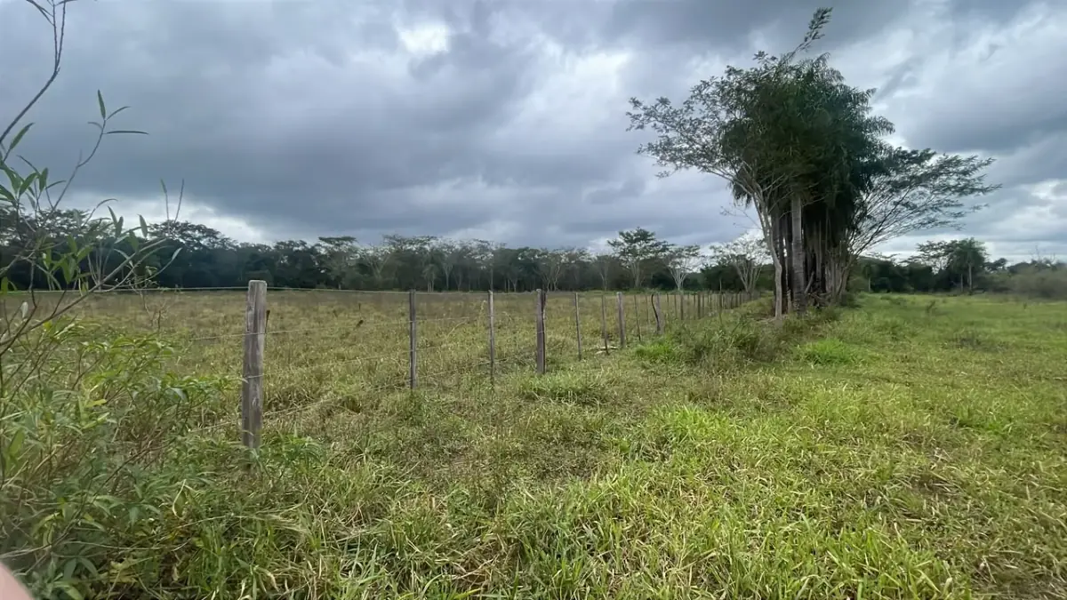 6.5-Hectare 16-acre Farm / Land for Sale in Ybycuí - Image 10