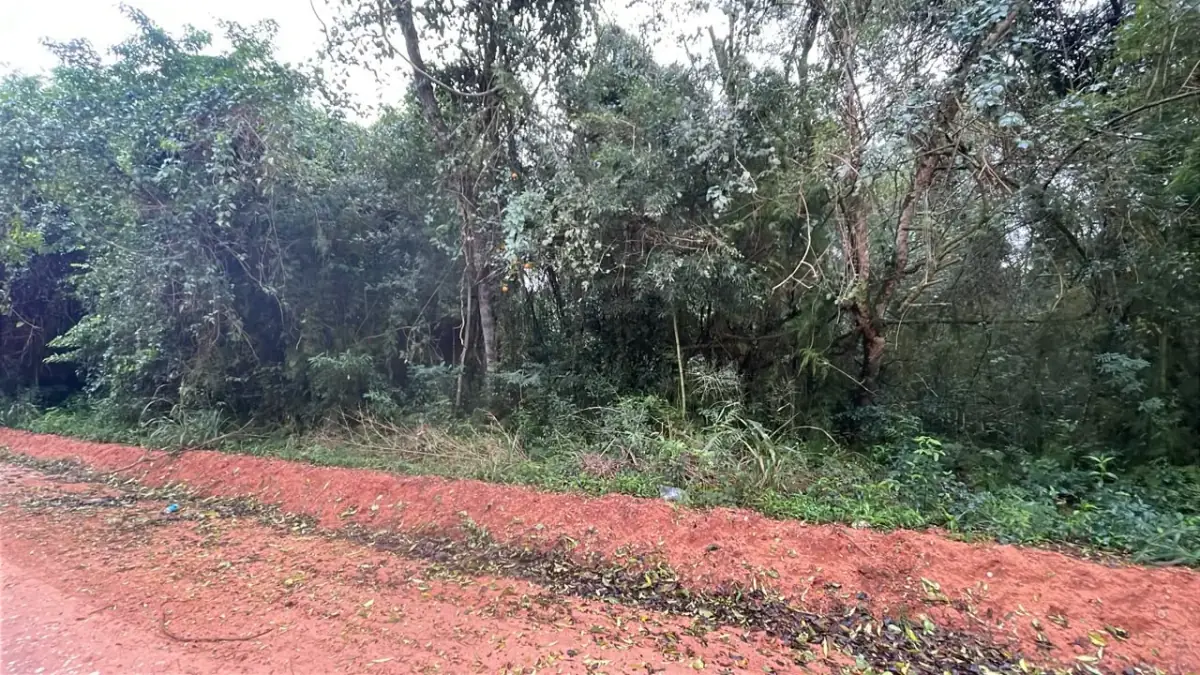 20-Hectare 49.4 Acres Country Estate in La Colmena - Image 4