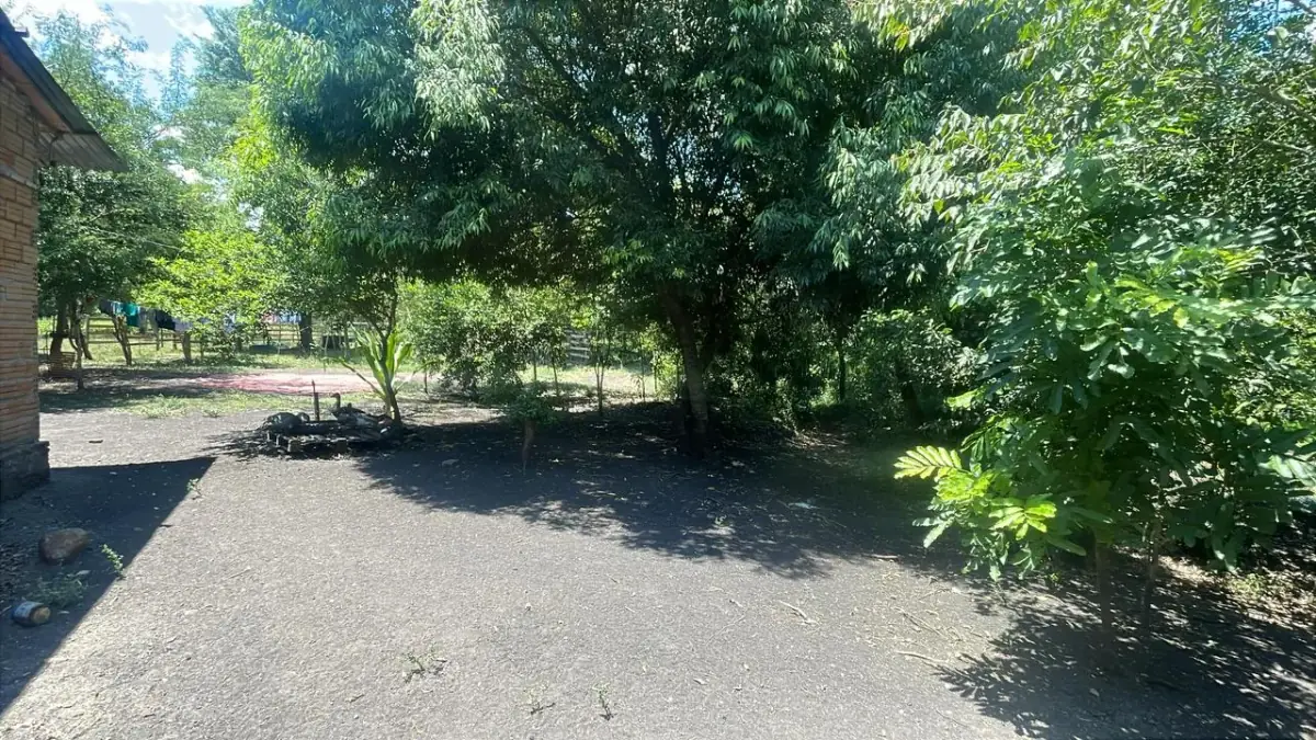 17,7 ha 44-acre farm with two streams & pond | 2 arroyos en Sapucai - Image 15