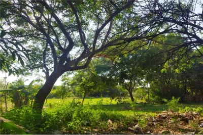 Terreno de 1,200m² en Venta en Julián Augusto Saldívar