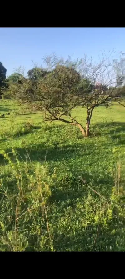 800m² Land for Sale in Itauguá