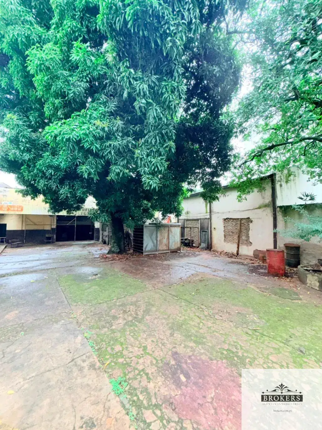 Espaço Comercial de 900m² para Aluguel em Villa Morra, Assunção - Image 15