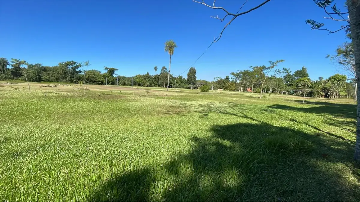 10-Hectare 24.7-acre flat terrain Farm in San José de los Arroyos - Image 13