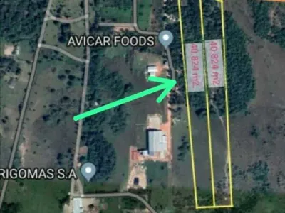 Terreno de 80.000m² à Venda em Salado, Limpio