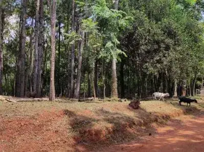 5.73m² Land for Sale in Ciudad de Arroyo Pora-Sub Urbano - Image 16