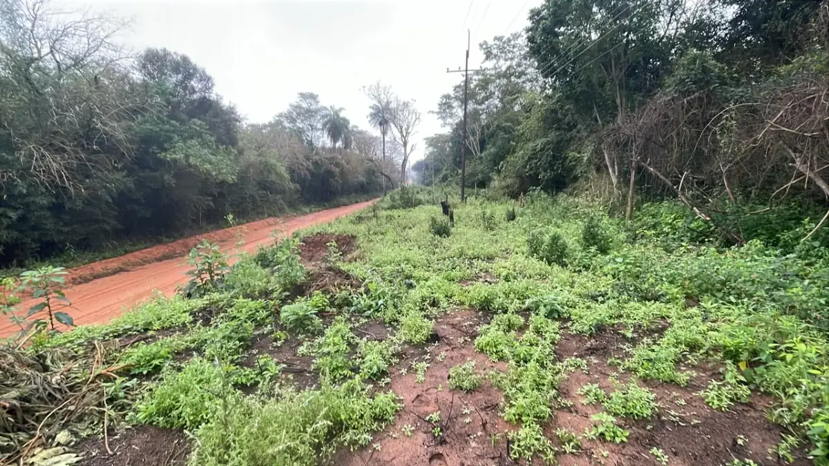 20-Hectare 49.4 Acres Country Estate in La Colmena - Image 12