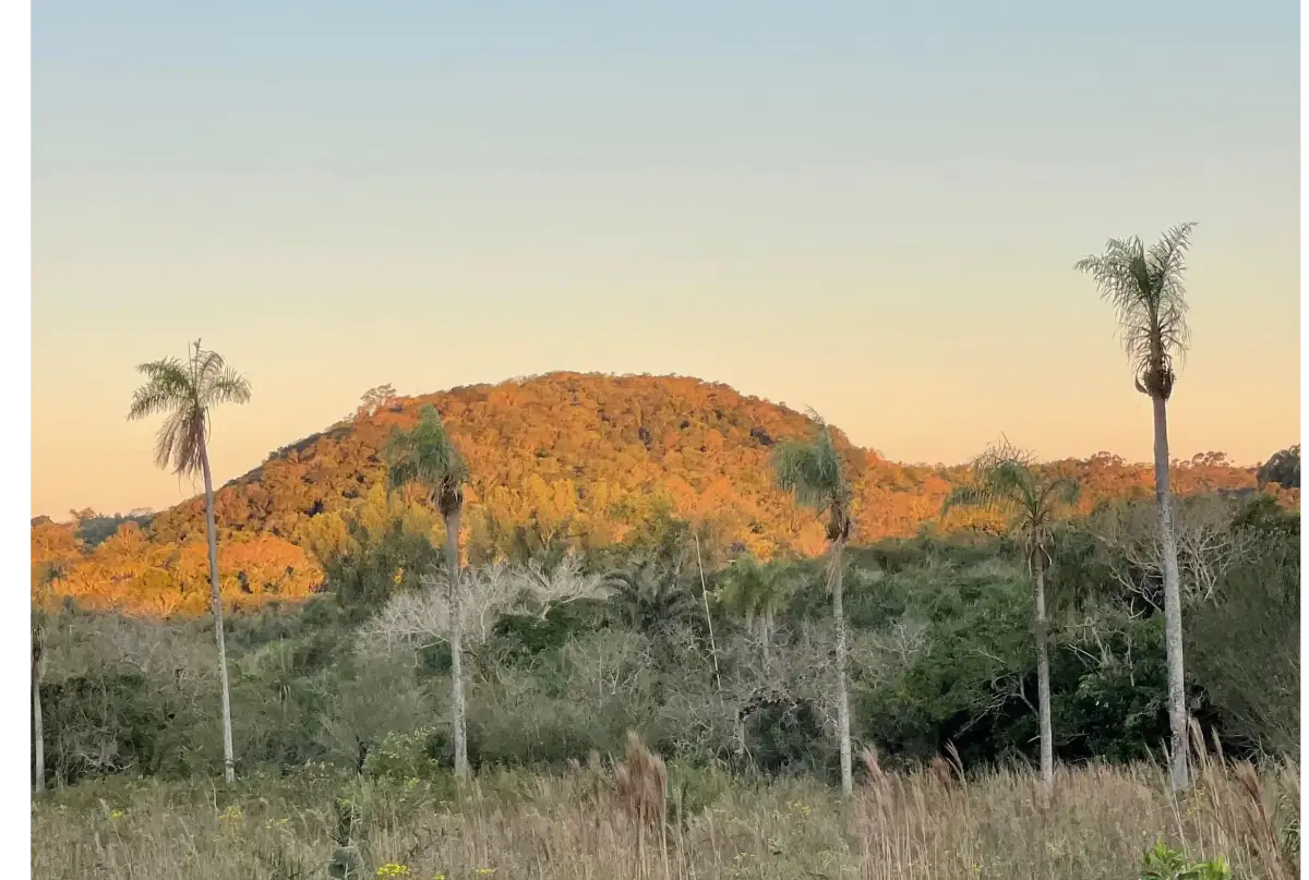 Propiedad de 7 hectáreas en Atyra 🍃🌳☀️ con cascada - Image 7