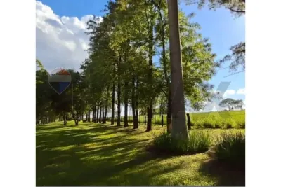Terreno - Venda - Presidente Franco, Alto Paraná, Paraguai