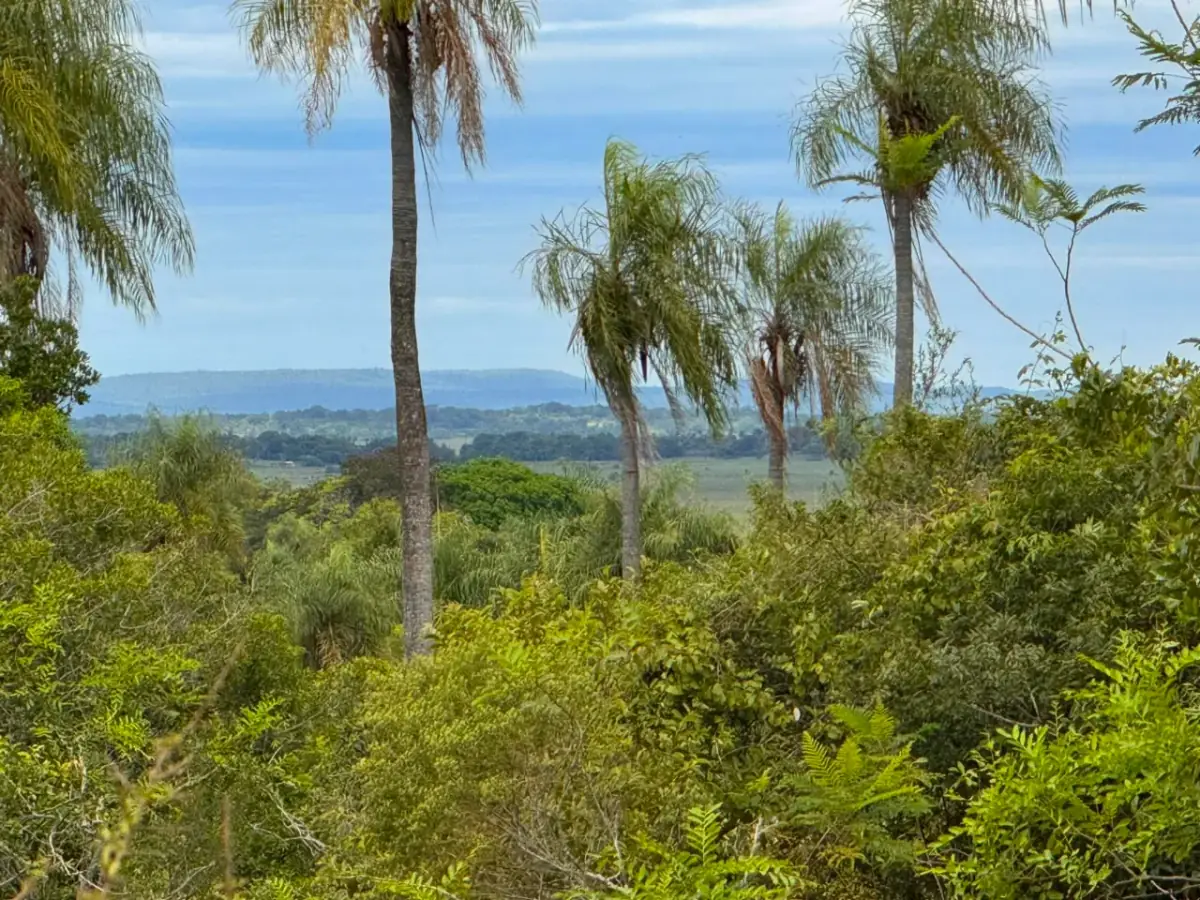 6 Hectareas en Carapeguá – Ideal Country Land (Crypto & USDT Accepted) - Image 7