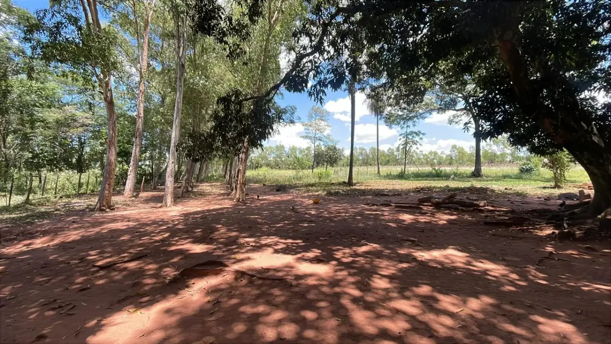 50-Hectare/123.5 Acres Piribebuy Livestock & Intensive Feedlot Farm - Image 6