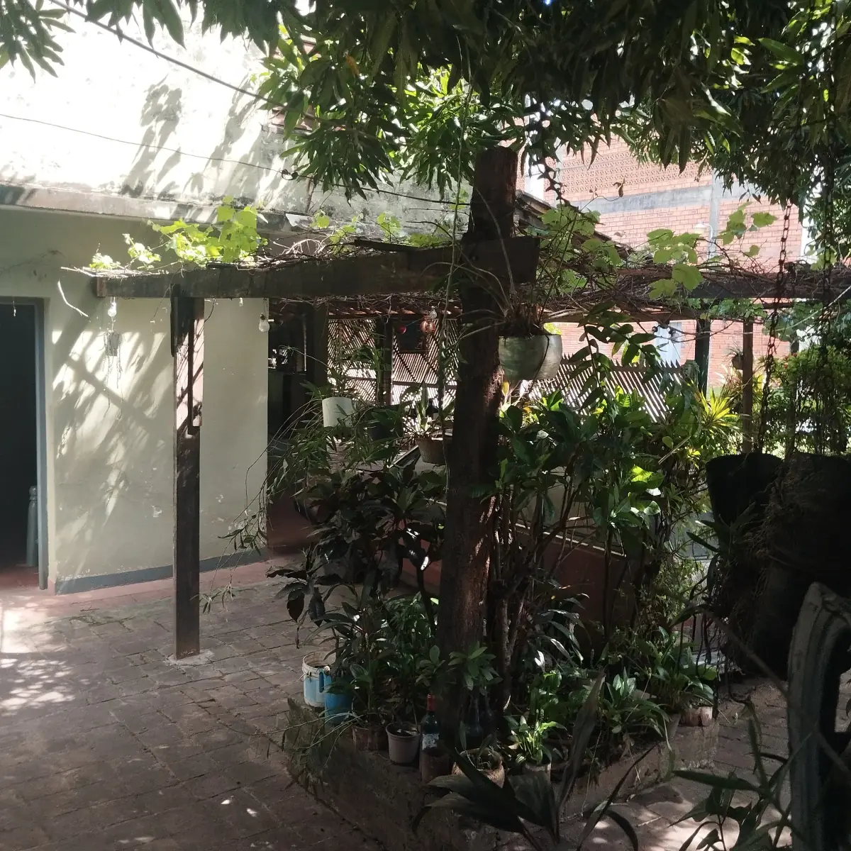 Terreno de 1.065m² en Venta en Zárate Isla, Luque - Image 4